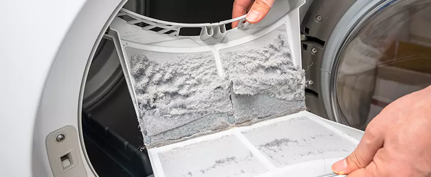 Best Dryer Lint Removal Company in La Verne, California