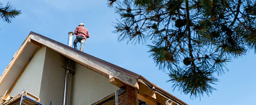 Birds Removal Contractors from Chimney in La Verne, CA